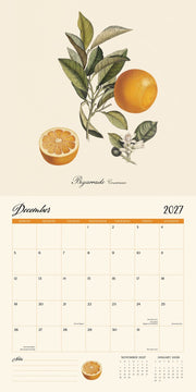 2027 Wall Calendar - Dybdhal Co. Fruits