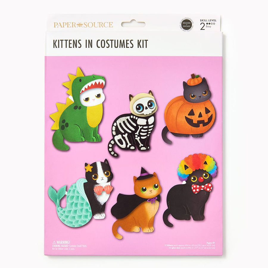 Kittens in Costumes Kit