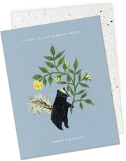 Stinker Birthday Card