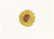 Correspondence Boxed Notecards Gold Sunflower