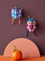 Coccinelle Couple