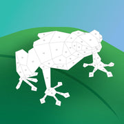 Paint by Sticker Kids (Official): Rainforest Animals
