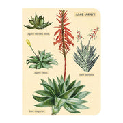 Succulents Mini Journals