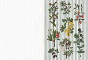 The Collage Compendium: 2,000 Images to Cut Out & Collage